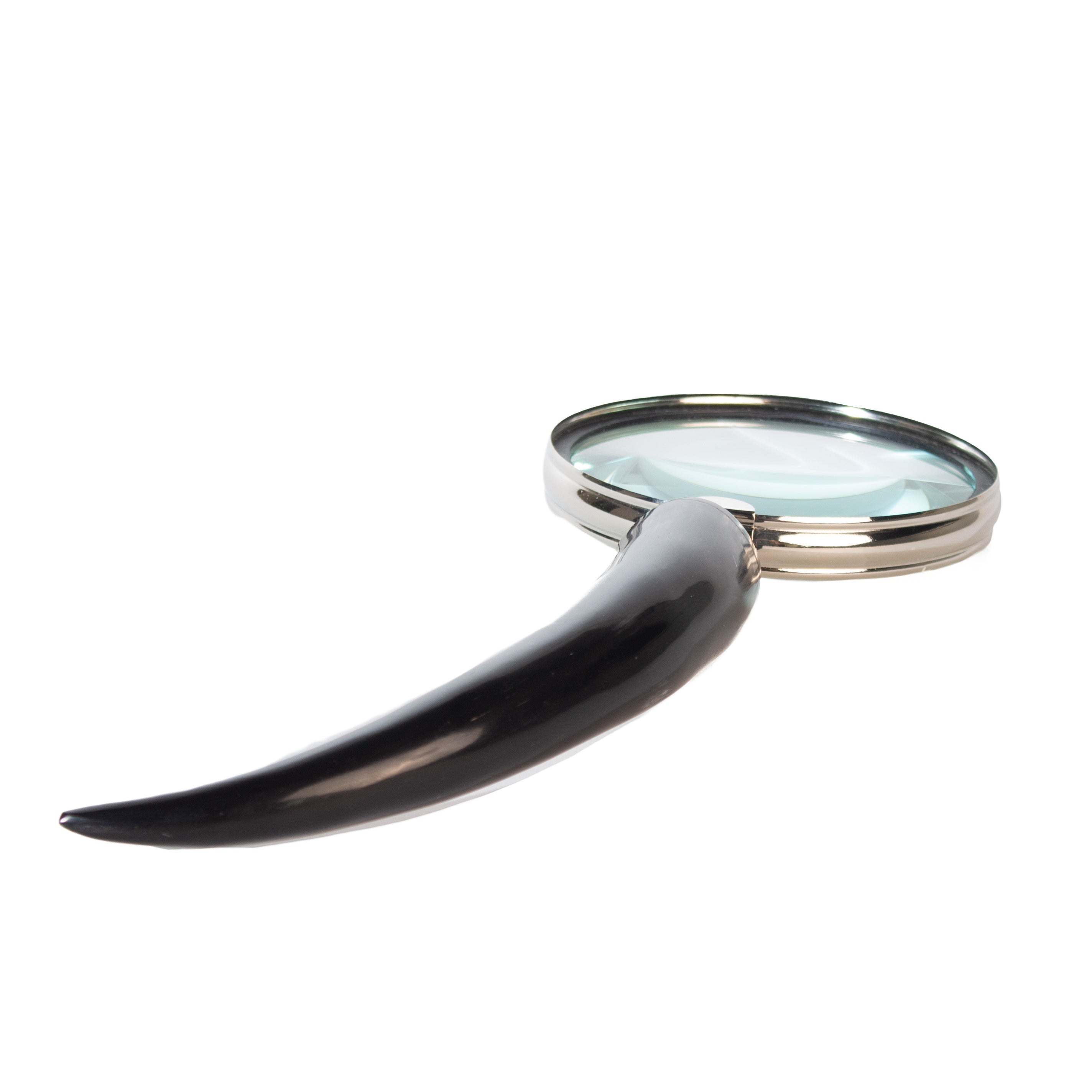 Large decorative magnifying glass with black horn handle.