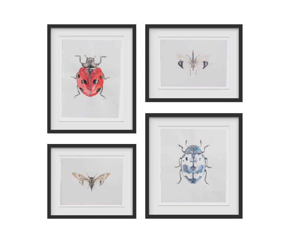 Beautiful watercolor insect collection painted by Birmingham artist Emily DeBuys