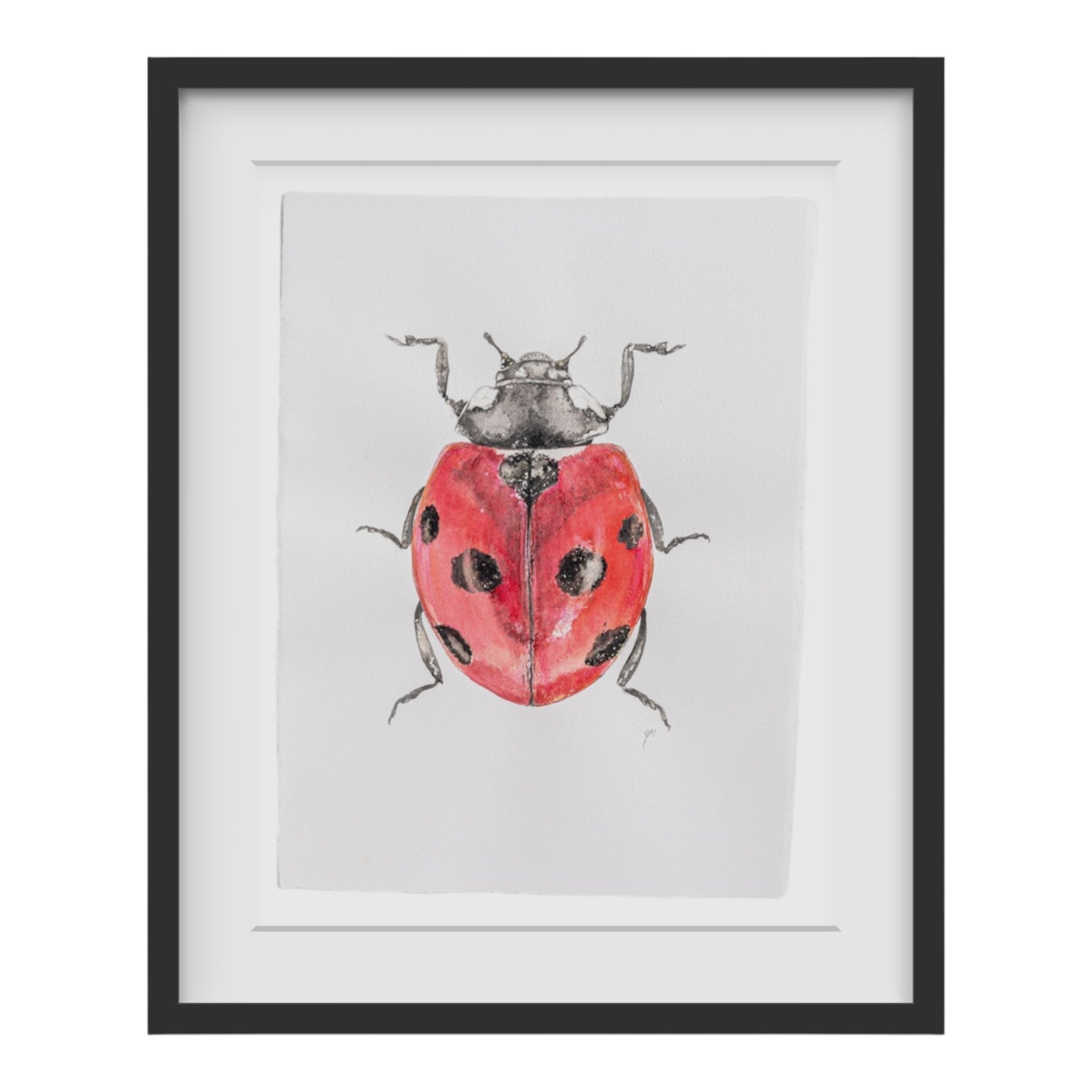 Beautiful original watercolor art of a ladybird beetle painted by Birmingham artist Emily DeBuys.