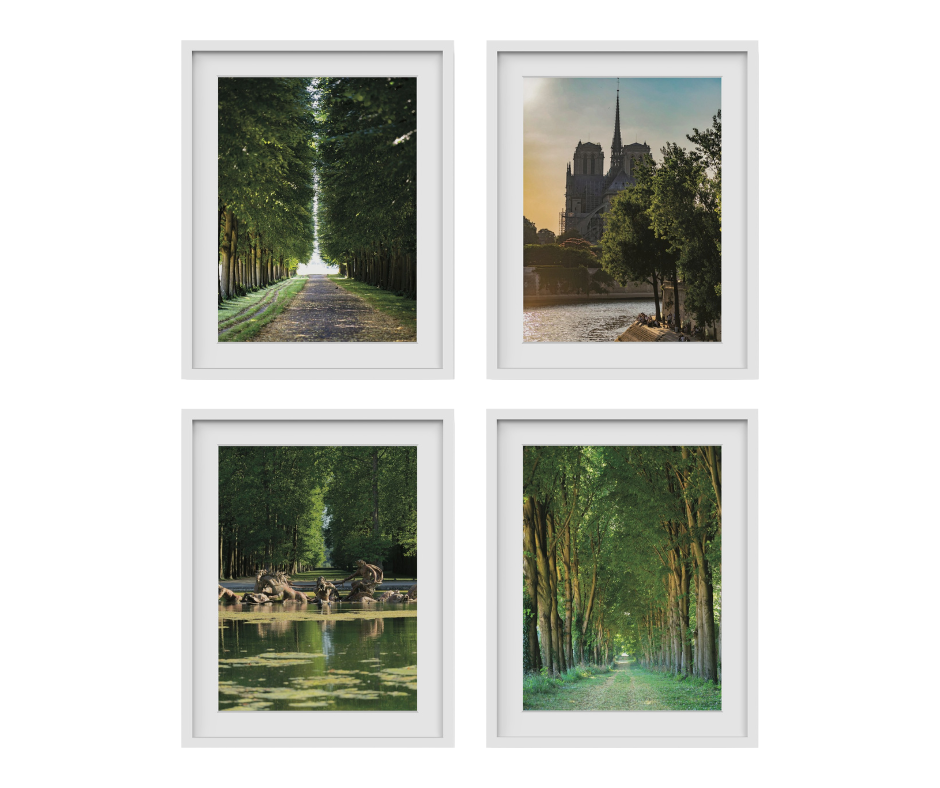 This professional photography for sale is a collection of four photos depicting the grounds of Versailles and the Cathedral of Notre Dame.  Award-winning photographer Paul Scott took the photos.  