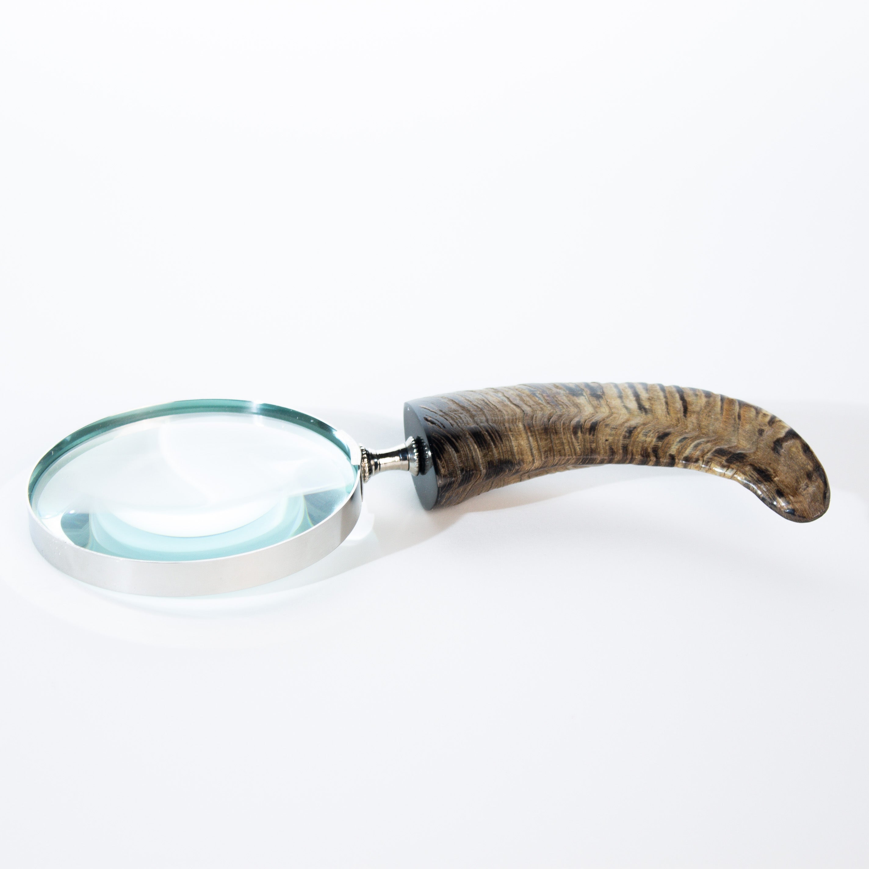 Horn Geometric Magnifier