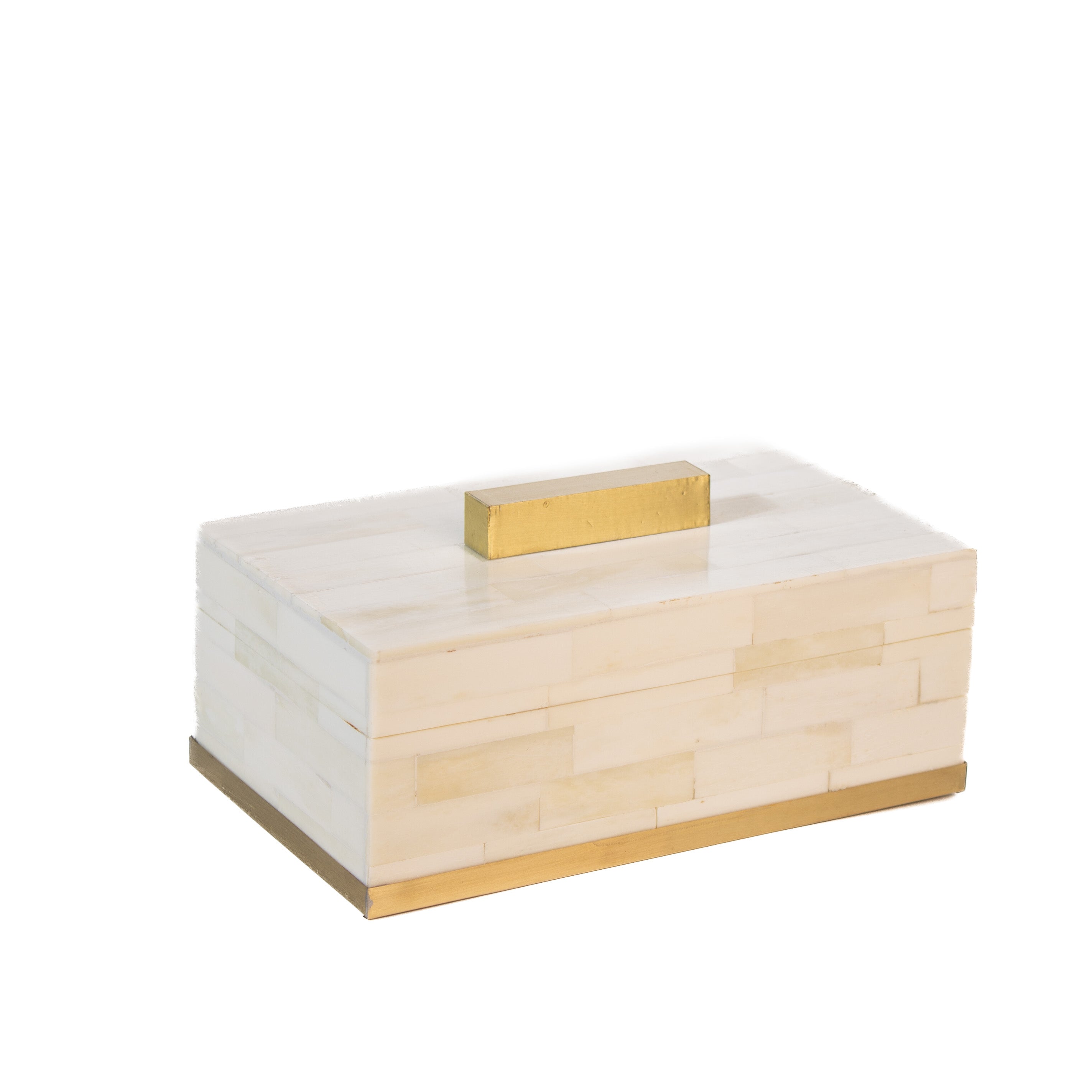 Decorative Bone Box with Brass Handle and Trim