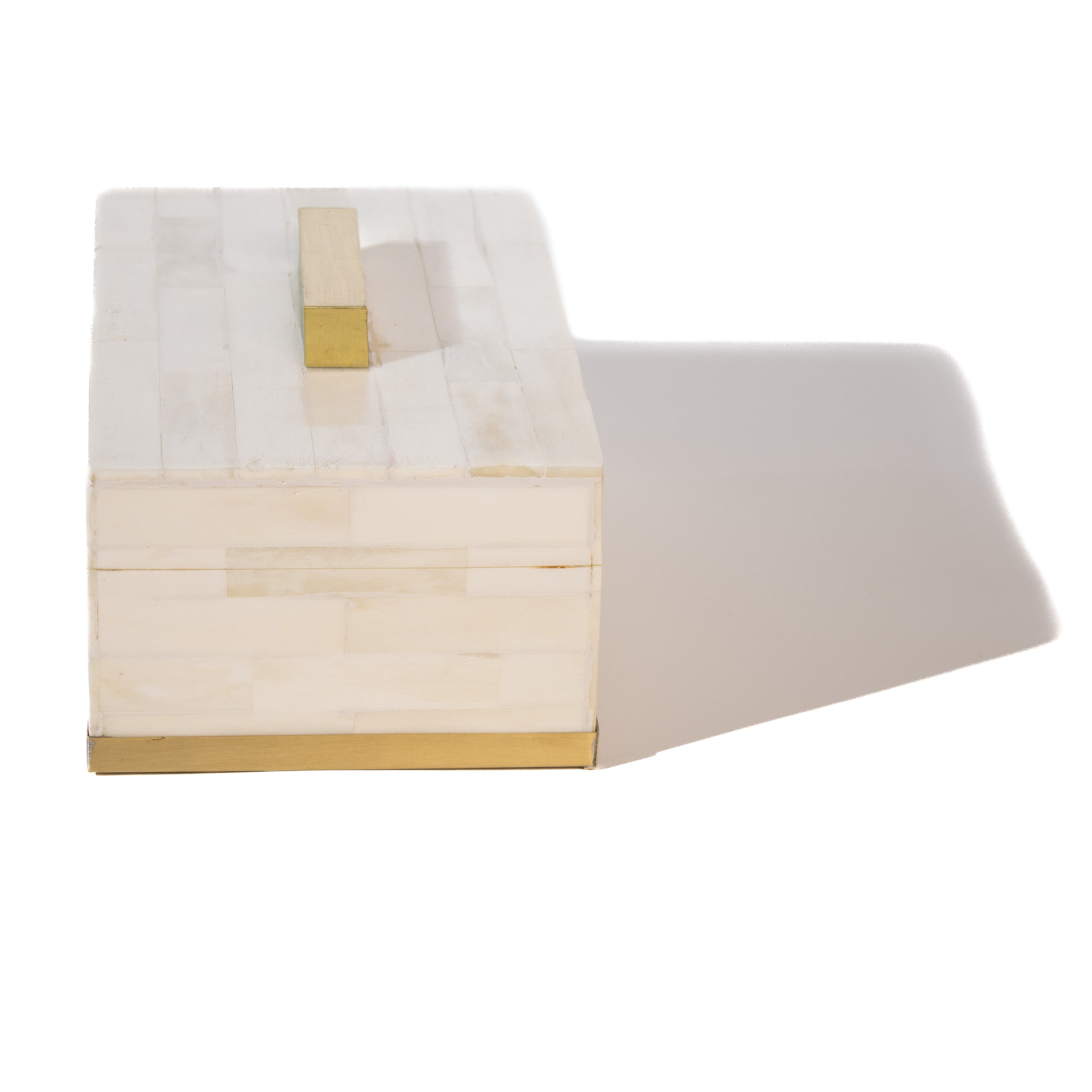 Decorative Bone Box with Brass Handle and Trim