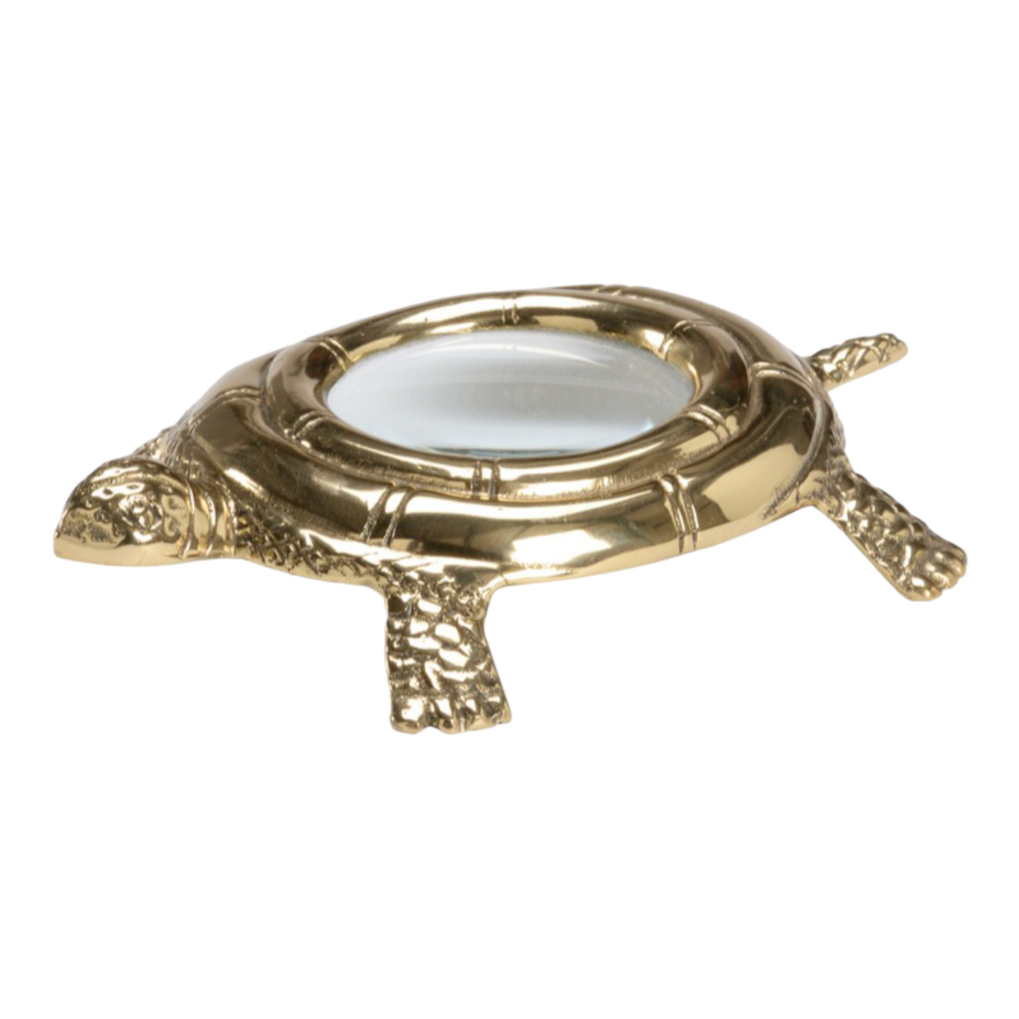 Gold Magnifying Turtle