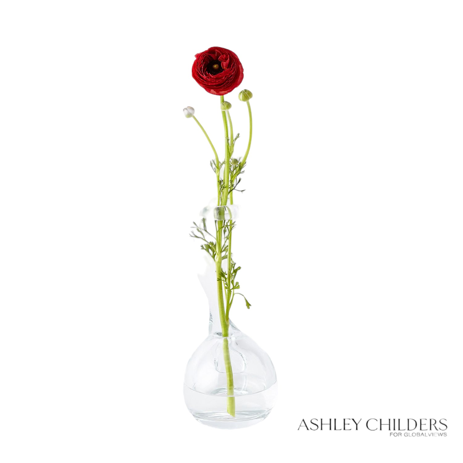 Rome Curate Ring Flower Vase