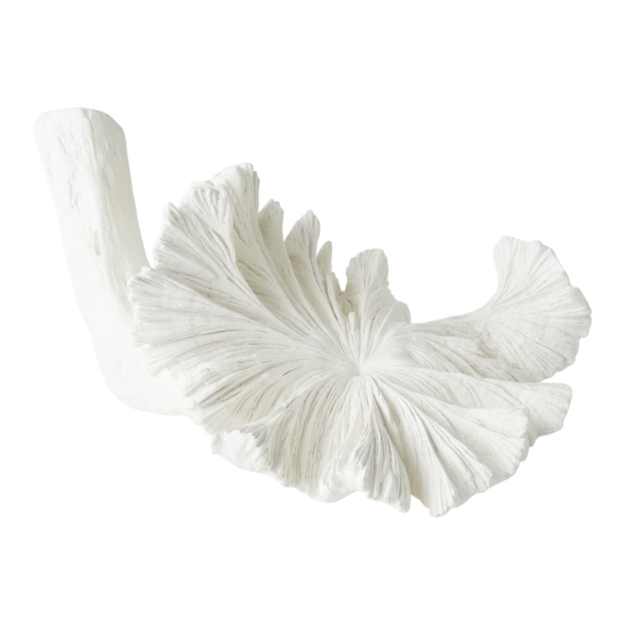 White Volcano Flowers, decorative flowers