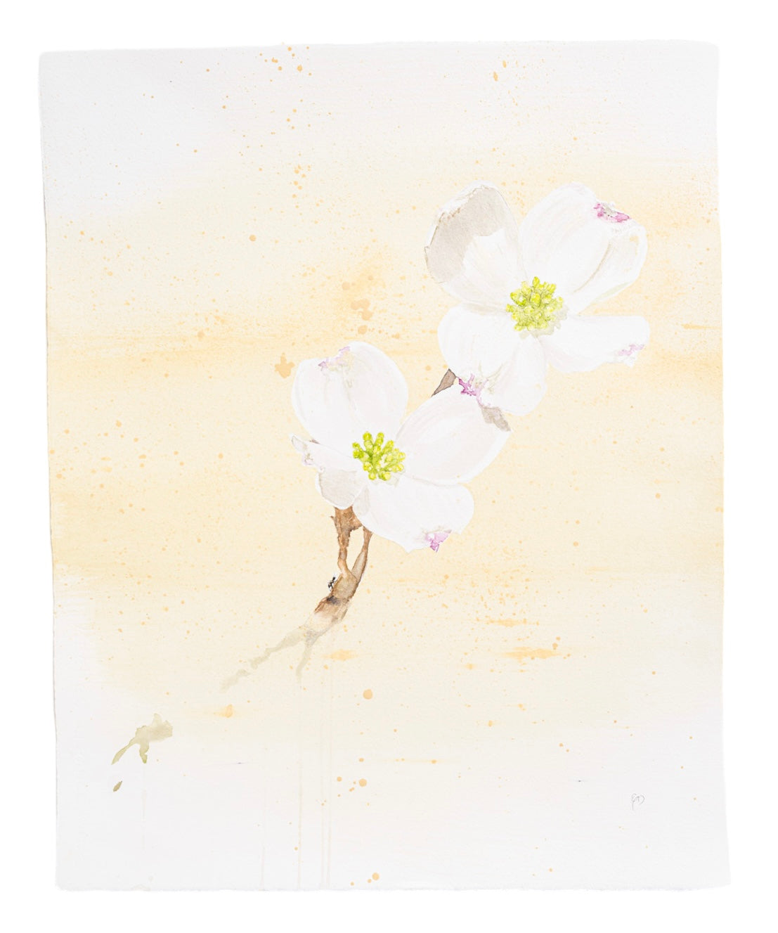 Beautiful watercolor of a dogwood flower painted by local Birmingham artist Emily DeBuys