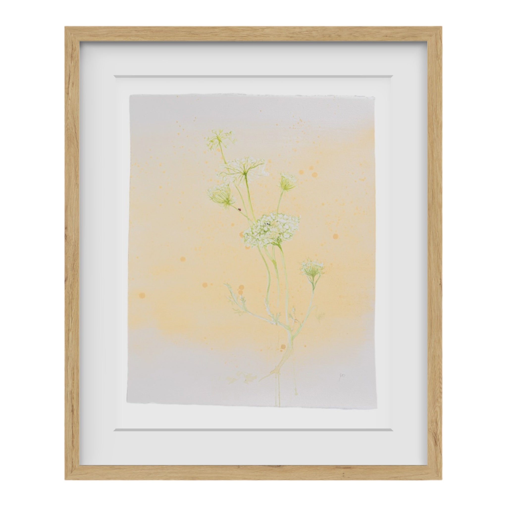 Beautiful original watercolor art of queen anne's lace painted by Birmingham artist Emily Debuys.  The stems are light green and the flowers are white.  