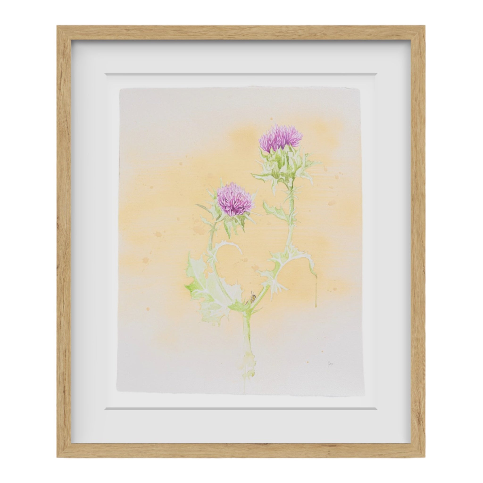 Beautiful original watercolor art of thistle painted by Birmingham artist Emily DeBuys.  The colors are light green and purplish-pink.  