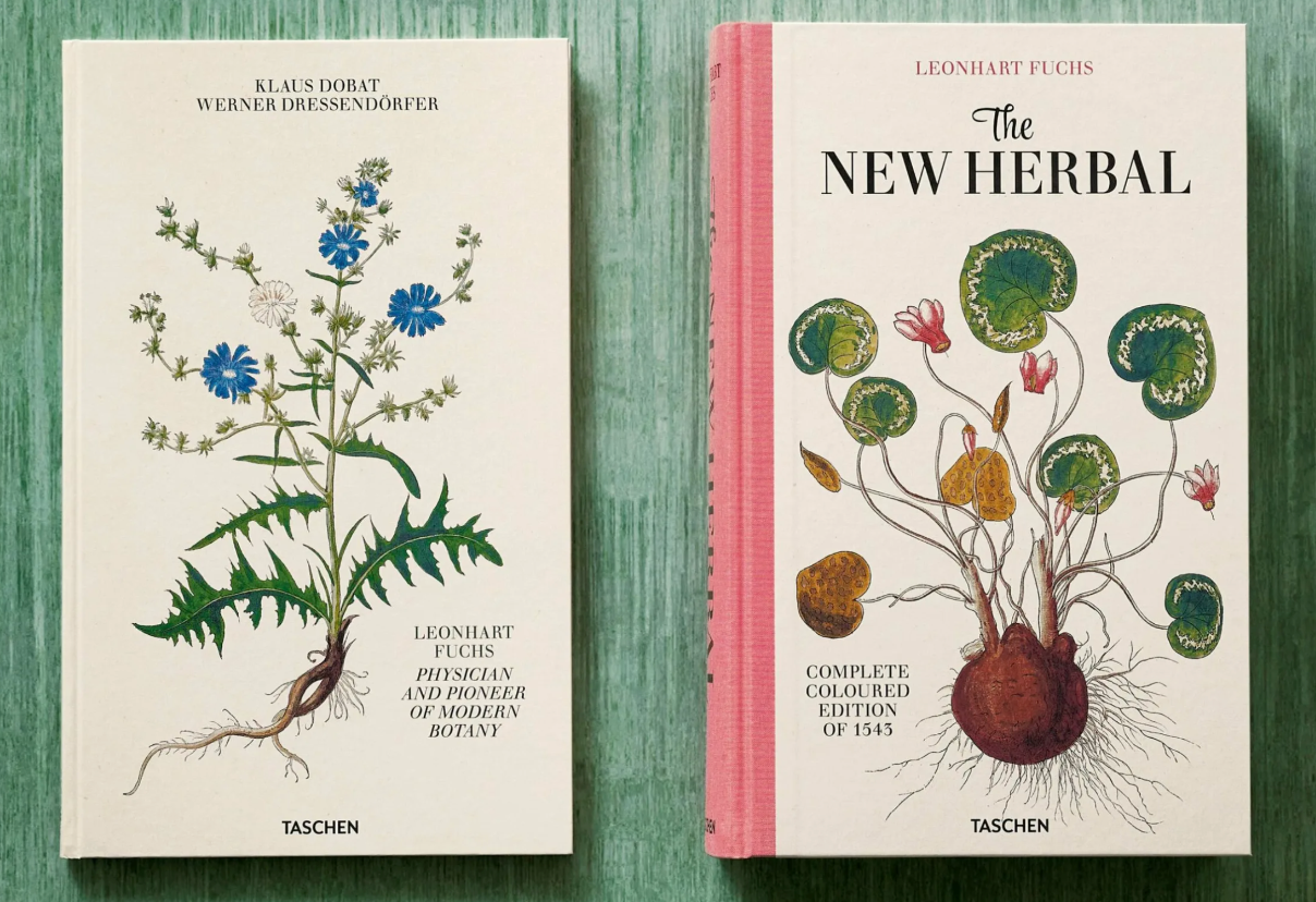 Leonhart Fuchs. The New Herbal