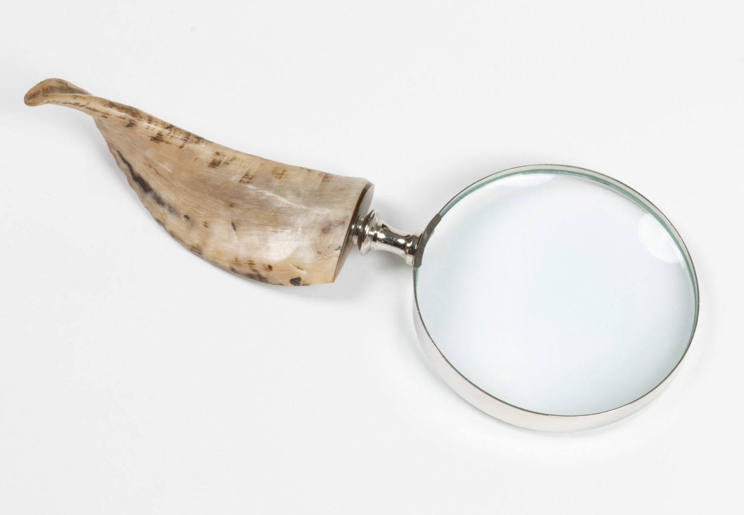Bone Magnifiers