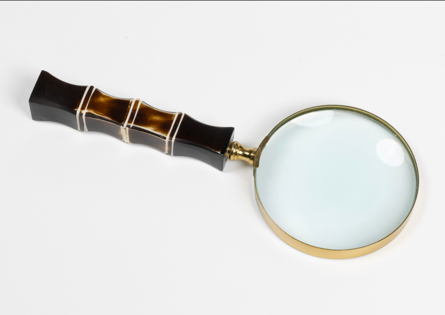 Bone Magnifiers