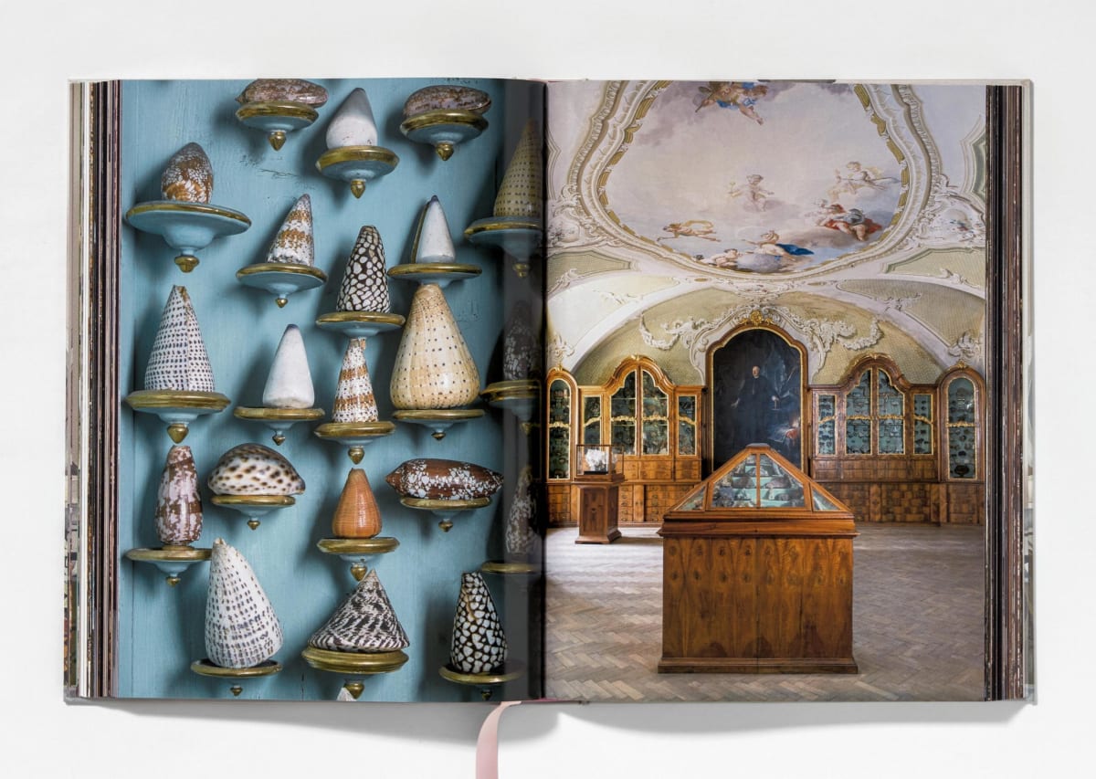 Massimo Listri. Cabinet of Curiosities Coffee Table Book