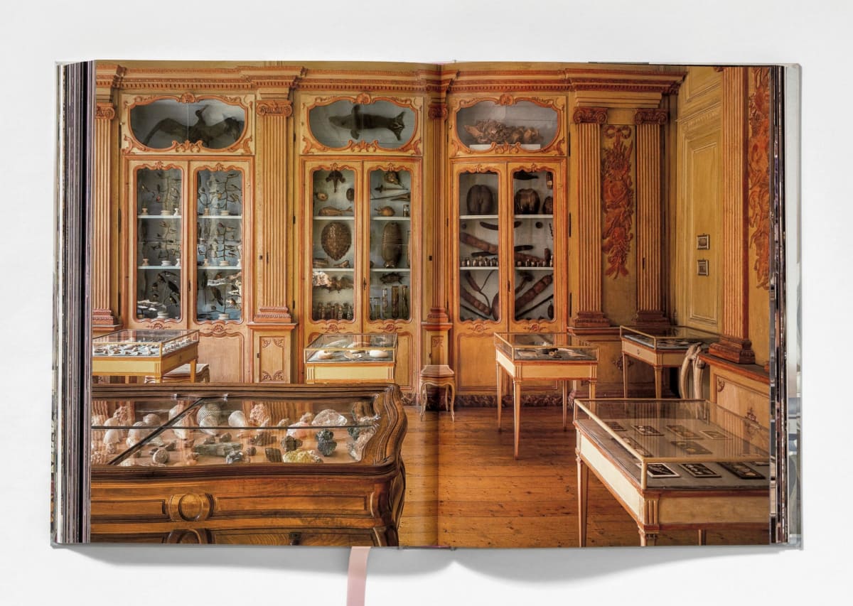 Massimo Listri. Cabinet of Curiosities Coffee Table Book